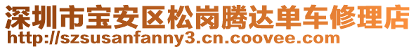 深圳市寶安區(qū)松崗騰達(dá)單車(chē)修理店