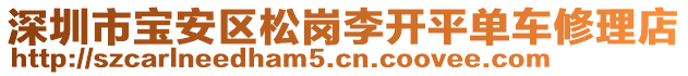 深圳市寶安區(qū)松崗李開平單車修理店