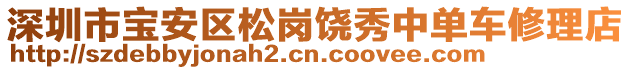 深圳市寶安區(qū)松崗饒秀中單車修理店