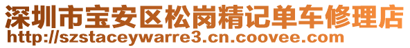 深圳市寶安區(qū)松崗精記單車修理店