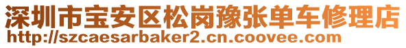 深圳市寶安區(qū)松崗豫張單車修理店