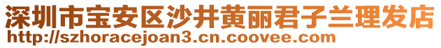 深圳市寶安區(qū)沙井黃麗君子蘭理發(fā)店