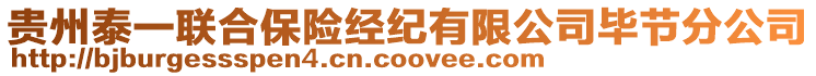 貴州泰一聯(lián)合保險(xiǎn)經(jīng)紀(jì)有限公司畢節(jié)分公司