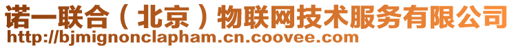 諾一聯(lián)合（北京）物聯(lián)網(wǎng)技術(shù)服務(wù)有限公司