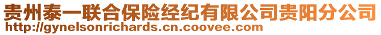 貴州泰一聯(lián)合保險經紀有限公司貴陽分公司