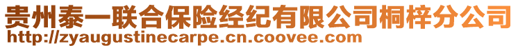 貴州泰一聯(lián)合保險(xiǎn)經(jīng)紀(jì)有限公司桐梓分公司