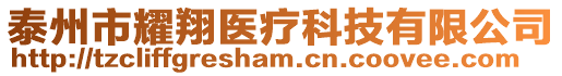 泰州市耀翔醫(yī)療科技有限公司