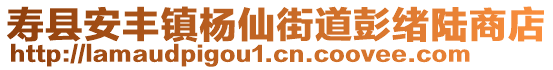 壽縣安豐鎮(zhèn)楊仙街道彭緒陸商店