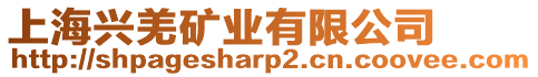 上海興羌礦業有限公司