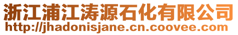 浙江浦江濤源石化有限公司