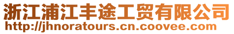 浙江浦江豐途工貿有限公司