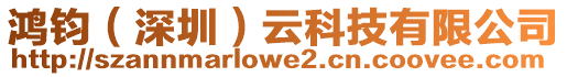 鴻鈞(深圳)云科技有限公司