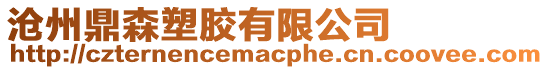 滄州鼎森塑膠有限公司