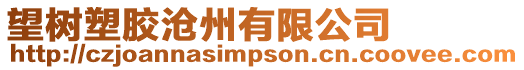 望樹塑膠滄州有限公司