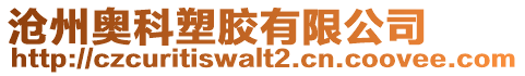 滄州奧科塑膠有限公司