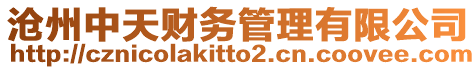 滄州中天財務(wù)管理有限公司