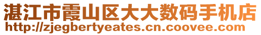 湛江市霞山區(qū)大大數(shù)碼手機(jī)店
