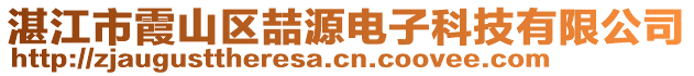 湛江市霞山區喆源電子科技有限公司