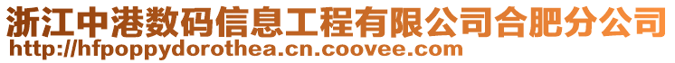 浙江中港數(shù)碼信息工程有限公司合肥分公司