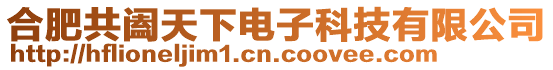 合肥共闔天下電子科技有限公司