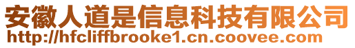 安徽人道是信息科技有限公司