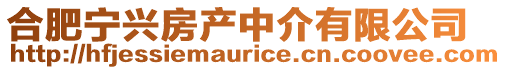 合肥寧興房產中介有限公司