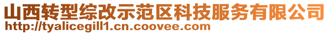 山西轉(zhuǎn)型綜改示范區(qū)科技服務(wù)有限公司