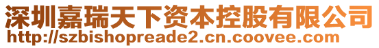 深圳嘉瑞天下資本控股有限公司