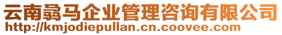 云南骉馬企業(yè)管理咨詢有限公司