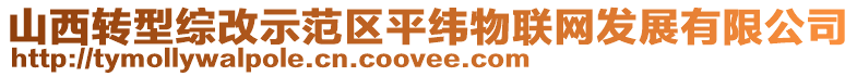 山西轉型綜改示范區平緯物聯網發展有限公司