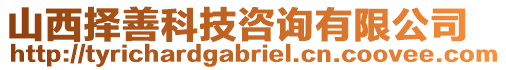 山西擇善科技咨詢有限公司