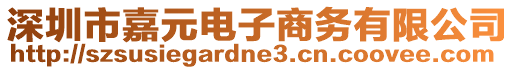 深圳市嘉元電子商務(wù)有限公司