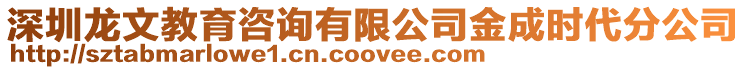 深圳龍文教育咨詢有限公司金成時代分公司