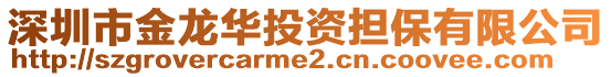 深圳市金龍華投資擔保有限公司