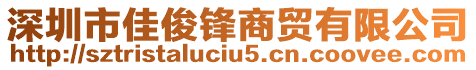 深圳市佳俊鋒商貿有限公司