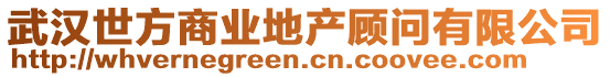 武漢世方商業(yè)地產顧問有限公司