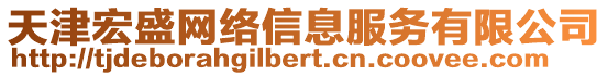 天津宏盛網(wǎng)絡信息服務有限公司