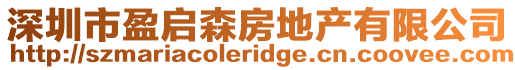 深圳市盈啟森房地產有限公司