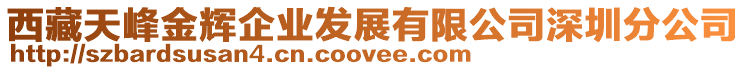 西藏天峰金輝企業(yè)發(fā)展有限公司深圳分公司