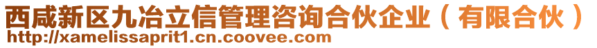 西咸新區(qū)九冶立信管理咨詢(xún)合伙企業(yè)(有限合伙)