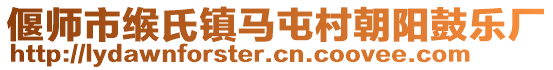 偃師市緱氏鎮馬屯村朝陽鼓樂廠