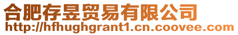 合肥存昱貿易有限公司