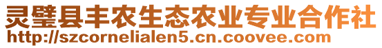 靈璧縣豐農(nóng)生態(tài)農(nóng)業(yè)專業(yè)合作社