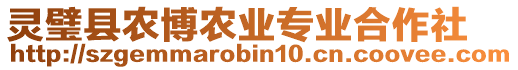 靈璧縣農(nóng)博農(nóng)業(yè)專業(yè)合作社