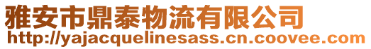 雅安市鼎泰物流有限公司