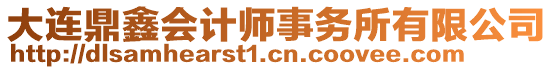 大連鼎鑫會計師事務所有限公司