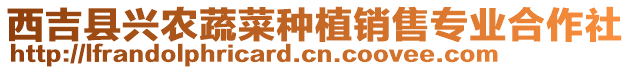 西吉縣興農(nóng)蔬菜種植銷售專業(yè)合作社