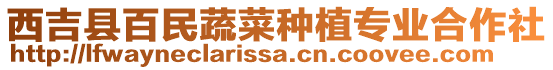 西吉縣百民蔬菜種植專(zhuān)業(yè)合作社