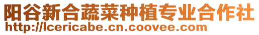 陽谷新合蔬菜種植專業(yè)合作社