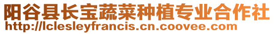 陽(yáng)谷縣長(zhǎng)寶蔬菜種植專業(yè)合作社